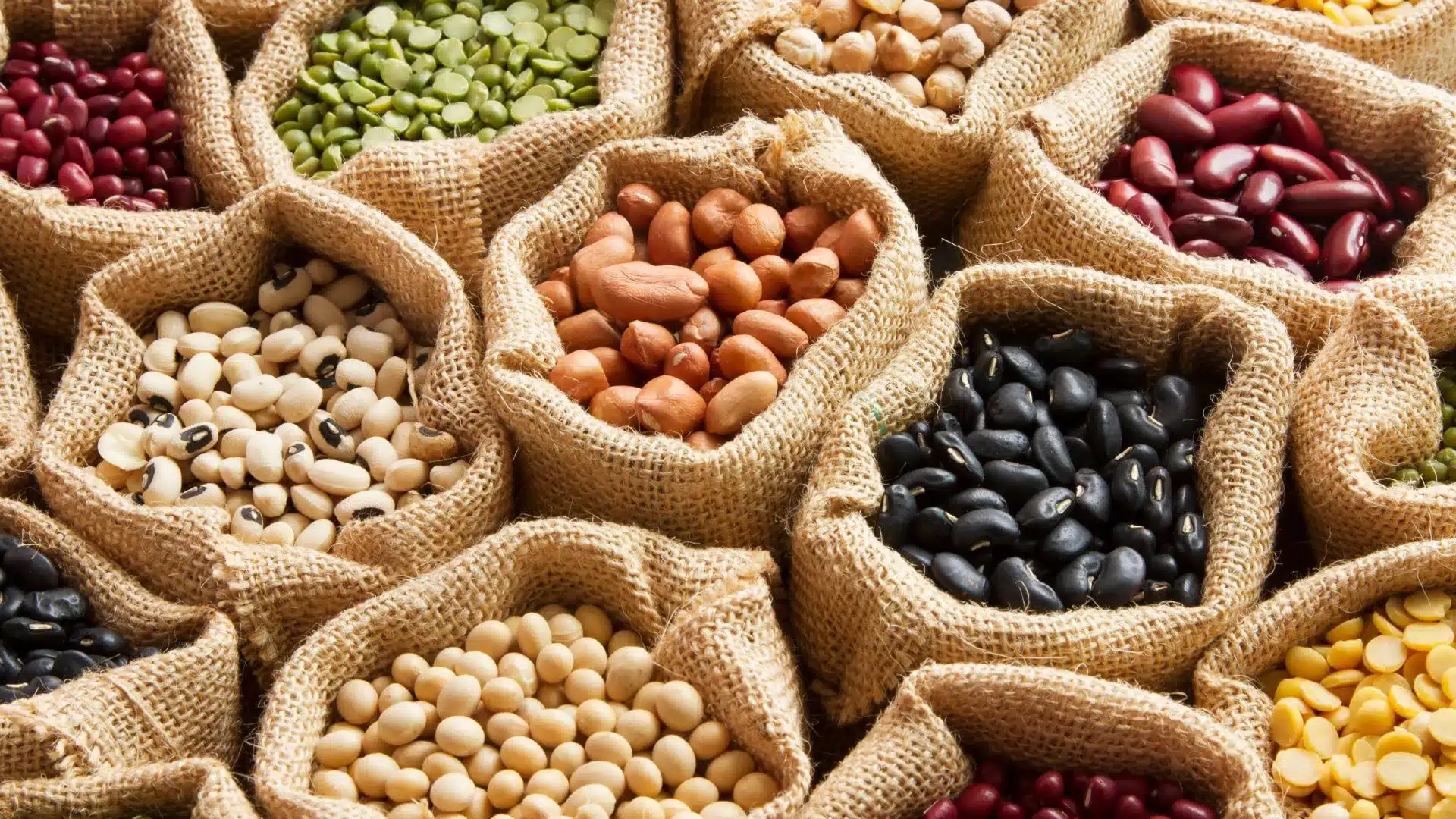 Protein