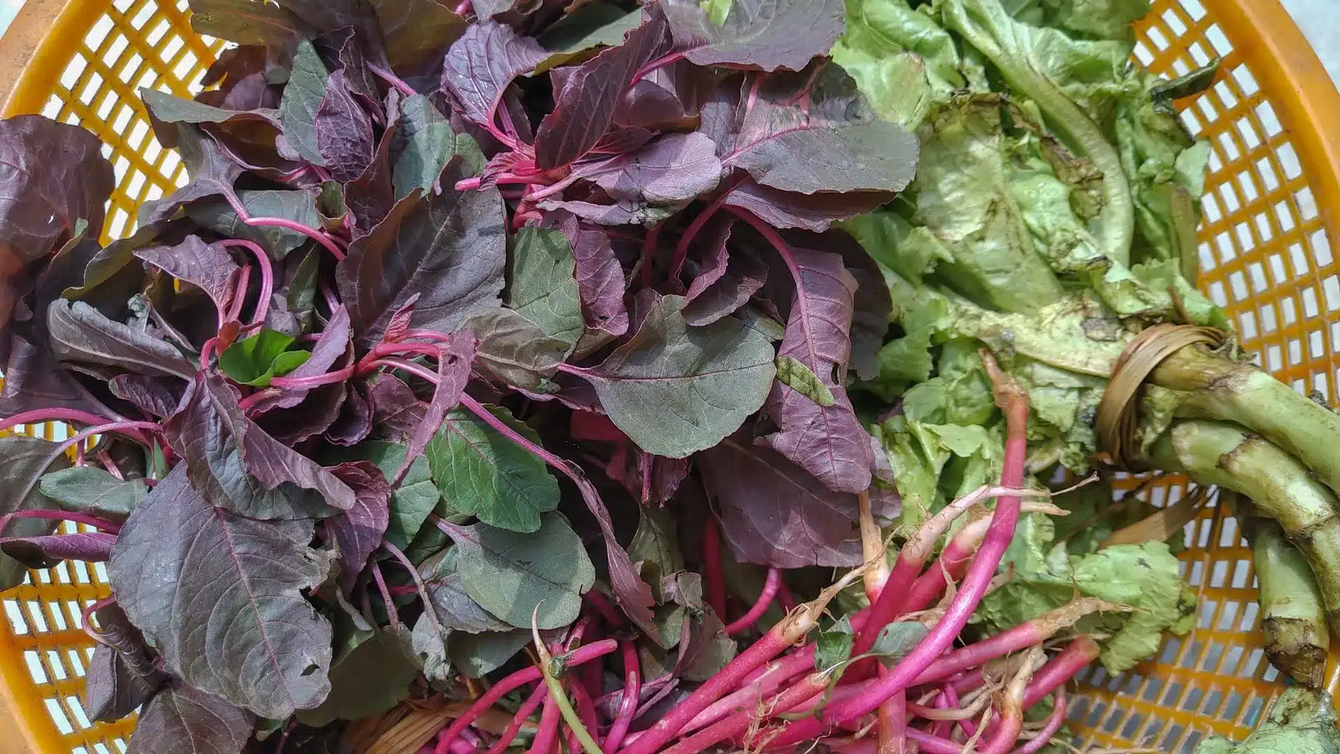 Folate (folic acid or vitamin B9)