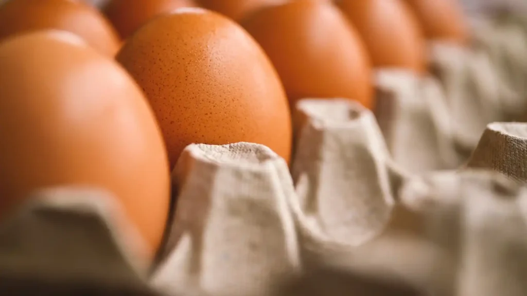 Eggs