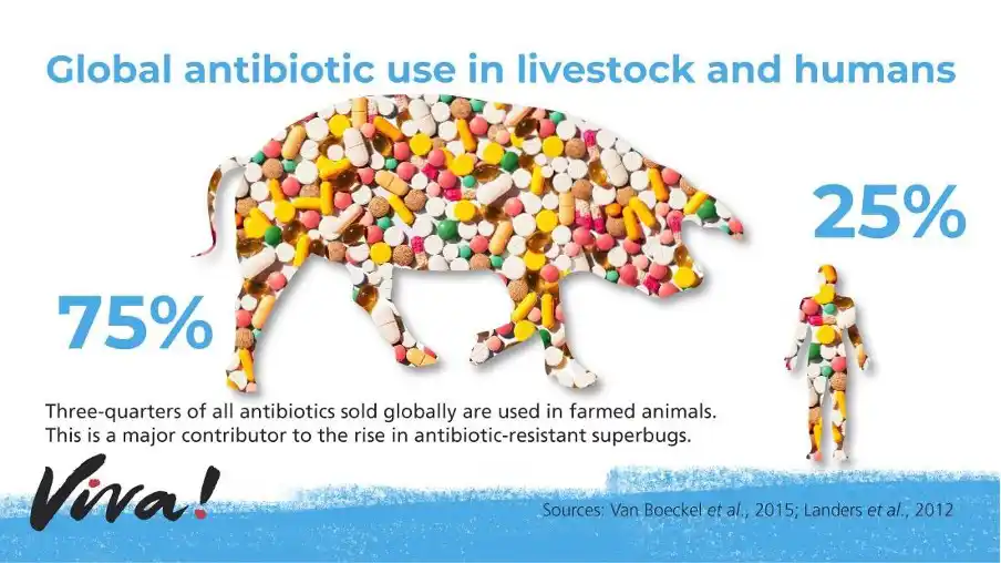 Global antibiotic use