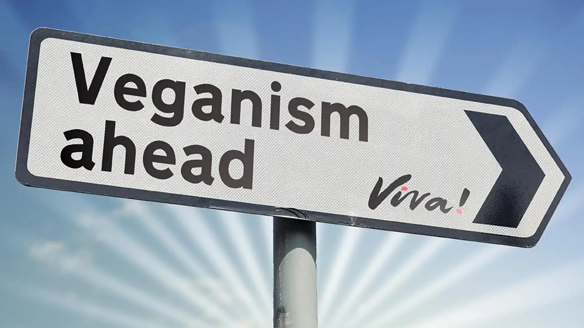 Road sign