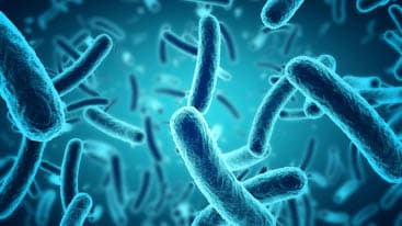 Bacteria VS virus