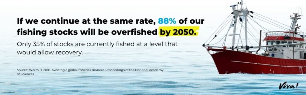 If we continue at the same rate, 88% of our fishing stocks will be overfished by 2050.