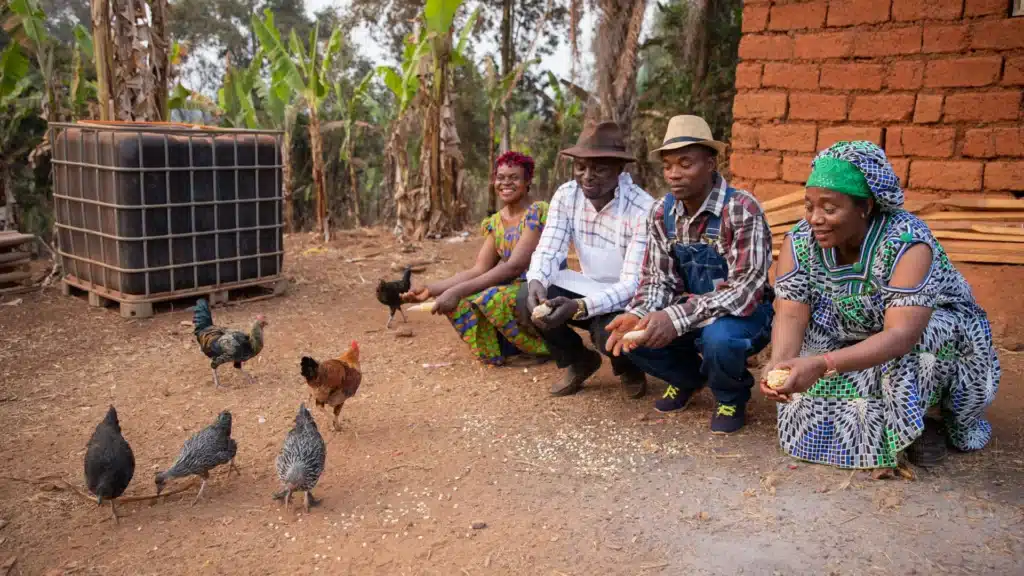 household farm with free-range hens
