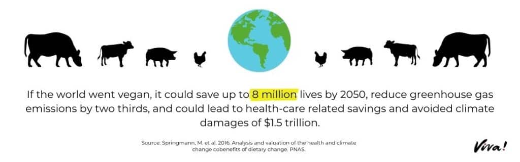 If the world went vegan, it could save up to 8 million lives by 2050.