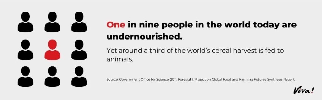 One in nine people in the world today are undernourished.