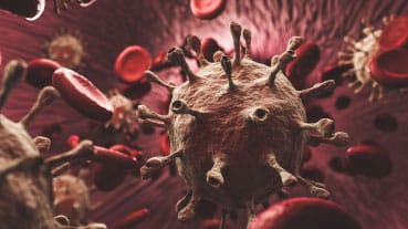 What are coronaviruses
