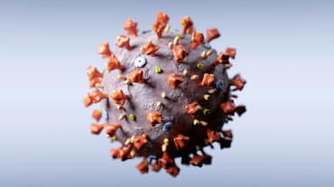 Virus