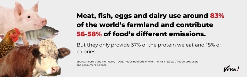 Meat, fish, eggs and dairy use around 83% of the world's farmland and contribute 56-58% of food's different emissions.