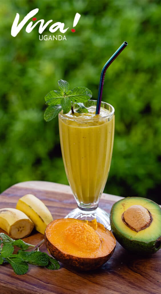 Day 2 breakfast Avo mango smoothie 1  RECIPE