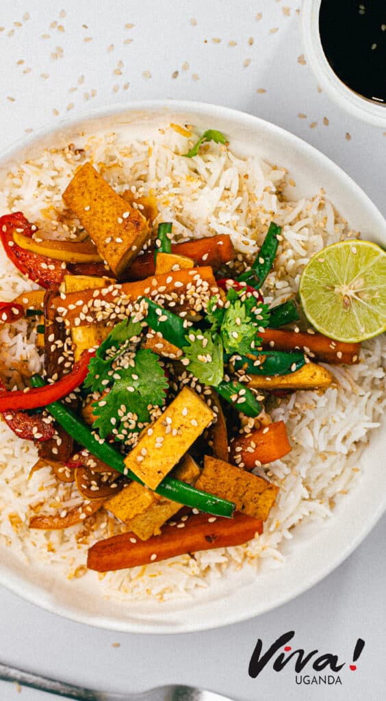 Day 6c dinner vegetable stirfry1 RECIPE